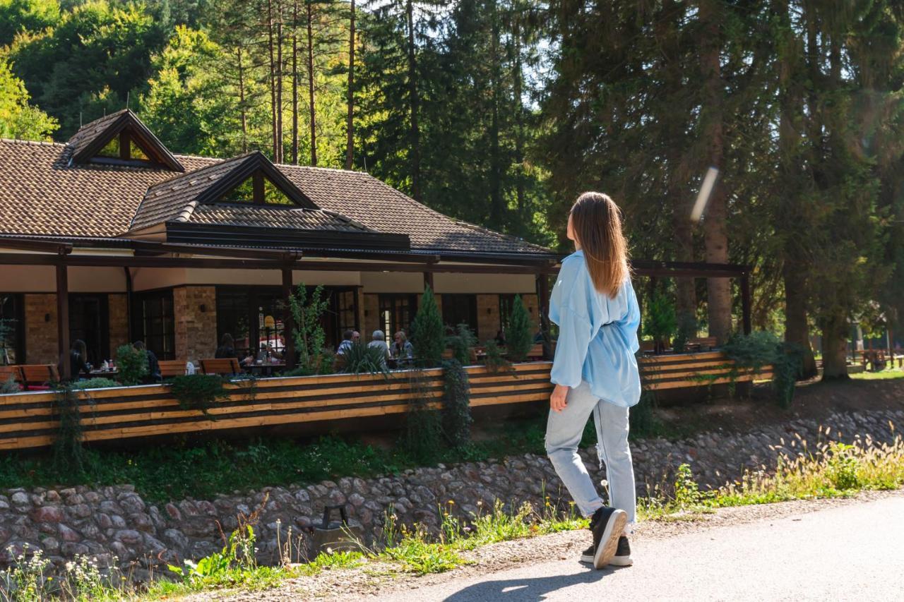 Apartamento Anin Dvor Sekovici Exterior foto